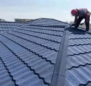 South Africa Rich Manor Villa Roof