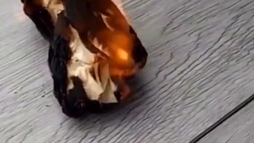 Magnesium Board Case Study - Panel Video 1