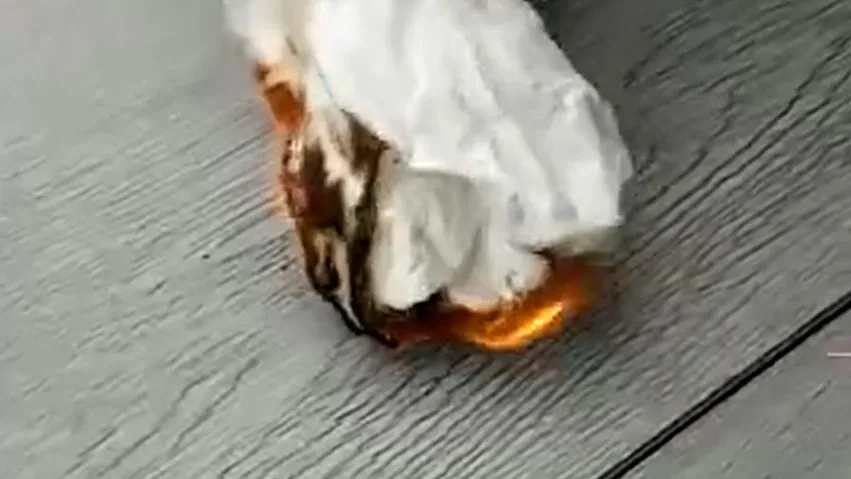 Magnesium Board Case Study - Panel Video